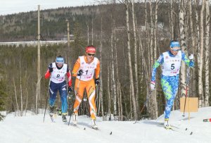 III этап Кубка России по лыжным гонкам