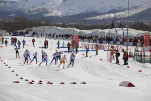 Чемпионат СЗФО по лыжным гонкам