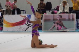 Чемпионат Северо-запада по художественной гимнастике