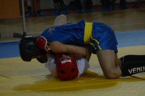 Чемпионат и первенство Мурманской области по смешанным боевым единоборствам ММА