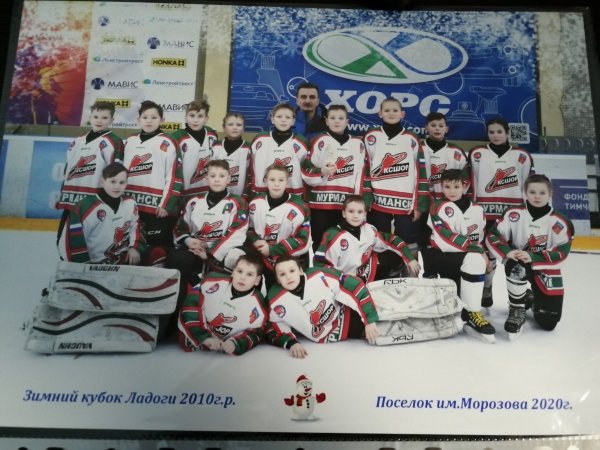 Кубок Ладоги