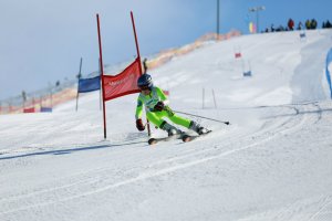 Региональные соревнования по горнолыжному спорту 2020