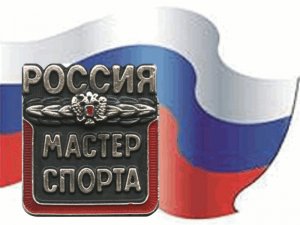 Мастер спорта России
