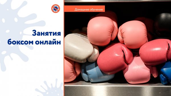 Научиться боксировать онлайн теперь может любой желающий