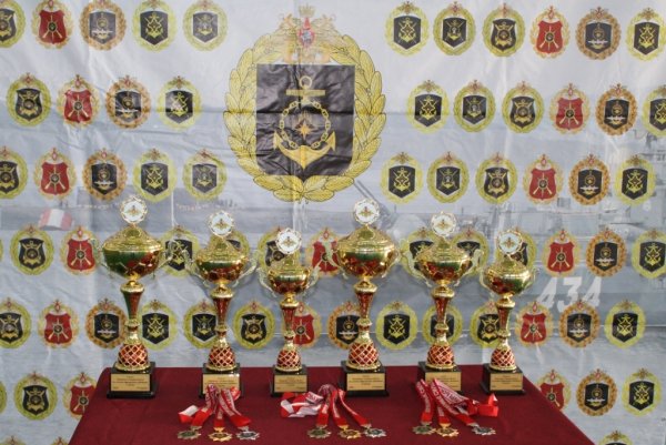 Чемпионат флота по летнему офицерскому троеборью