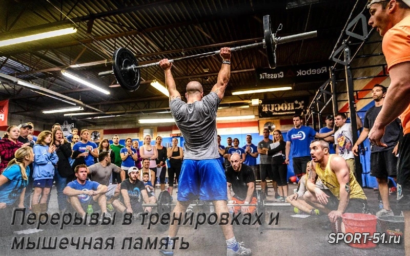 Перерывы в тренировках и мышечная память