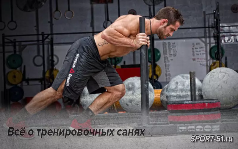 Всё о тренировочных санях