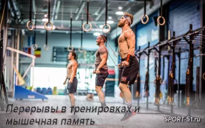 Перерывы в тренировках и мышечная память