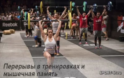 Перерывы в тренировках и мышечная память