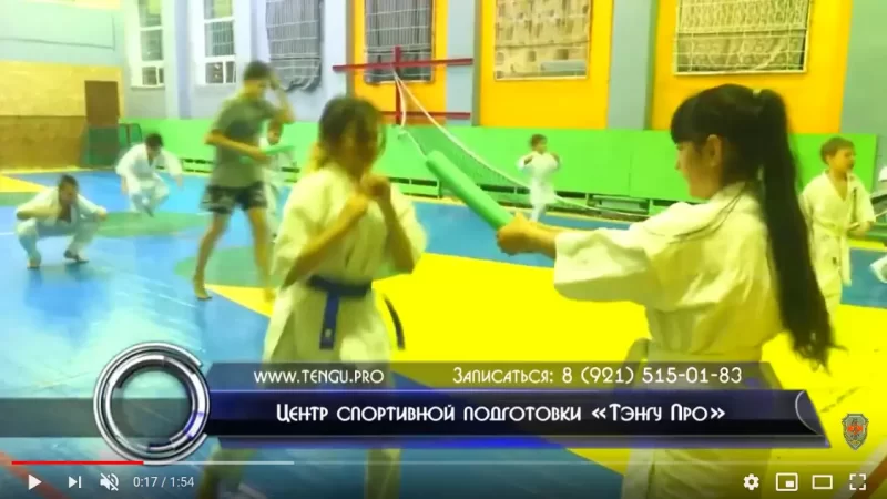 Развитие взрывной силы и реактивной способности мышц в подготовке бойца Кёкусинкай карате