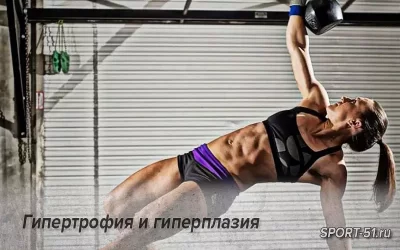Гипертрофия и гиперплазия