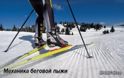 Механика беговой лыжи