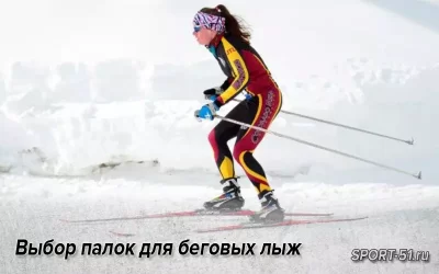 Выбор палок для беговых лыж