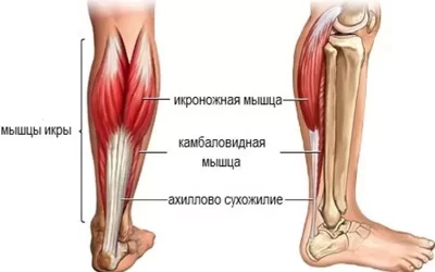 Что вызывает боль ахиллова сухожилия?