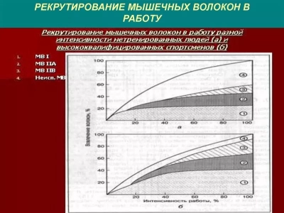 Правило размера ханнемана