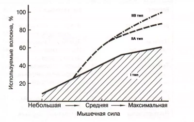 Правило размера ханнемана