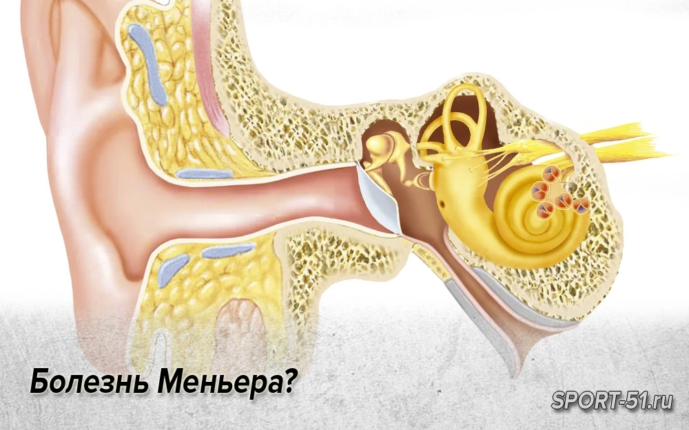 Улитка и слуховой нерв. Кт евстахиевой трубы. Слуховой нерв внутреннее ухо. Анатомия среднего уха на кт. Строение внутреннего уха мрт.