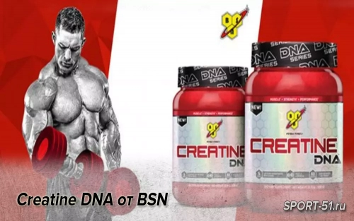 Creatine DNA от BSN
