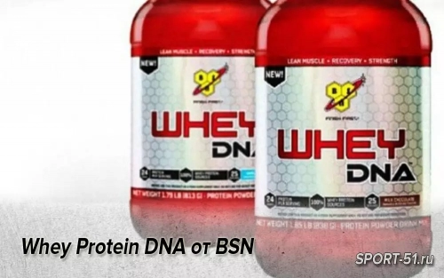 Whey Protein DNA от BSN