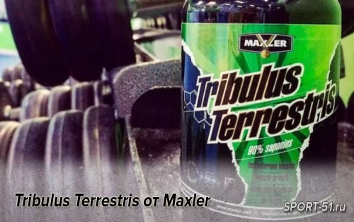 Tribulus Terrestris от Maxler