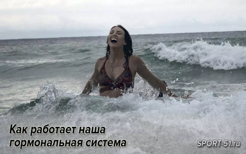 Как работает наша гормональная система