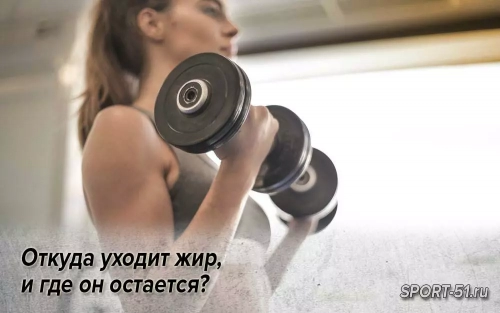 Откуда уходит жир, и где он остается?