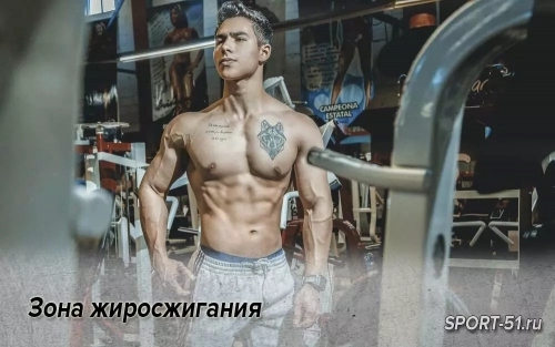 Зона жиросжигания