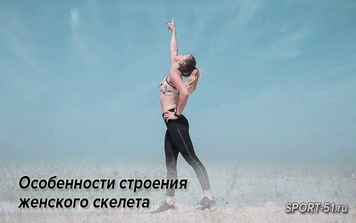 Особенности строения женского скелета