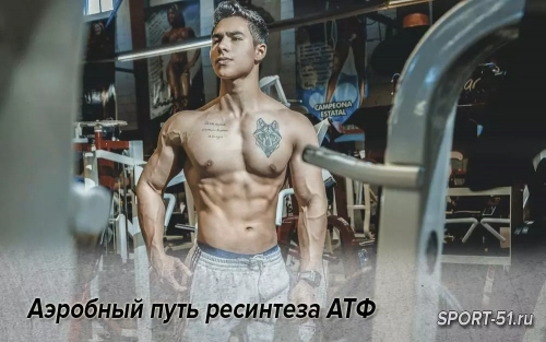 Аэробный путь ресинтеза АТФ