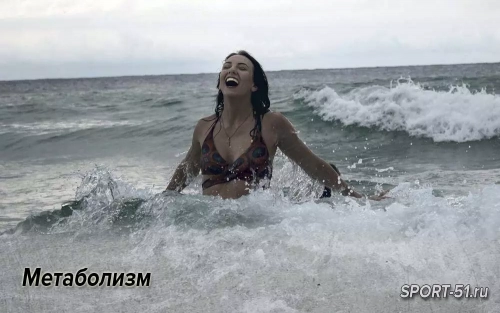 Метаболизм