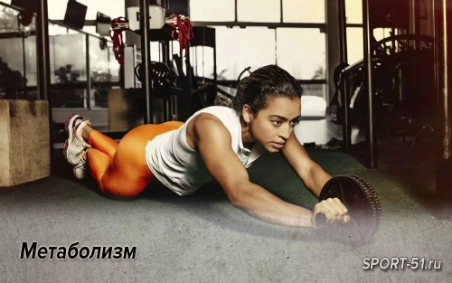 Метаболизм
