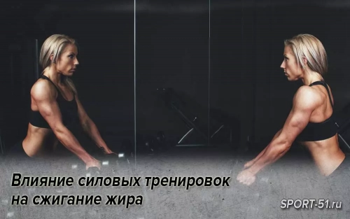 Влияние силовых тренировок на сжигание жира