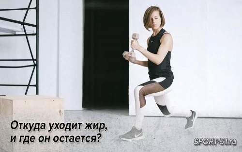 Откуда уходит жир, и где он остается?
