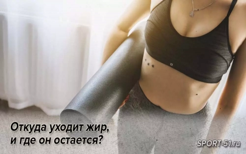 Откуда уходит жир, и где он остается?