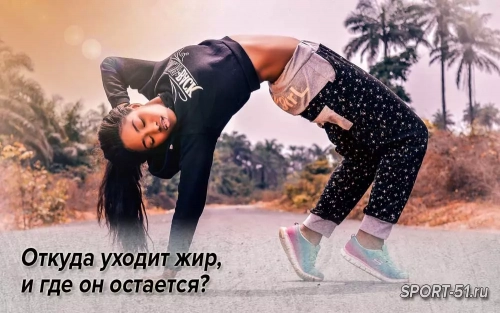 Откуда уходит жир, и где он остается?