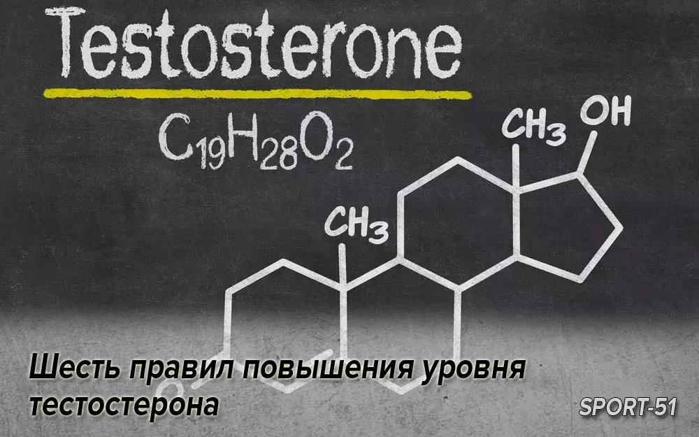 Как повысить тестостерон мужчине после 60 лет. Спортивный тестостерон. Чеснок повышает тестостерон. Тестостерон у медведя. Testosterone Levels by Country.