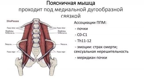 Синдром подвздошно-поясничной мышцы
