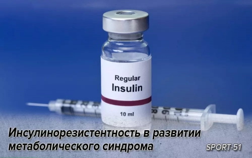 Инсулинорезистентность в развитии метаболического синдрома