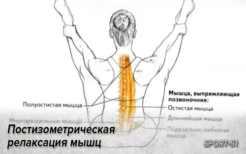 Постизометрическая релаксация мышц