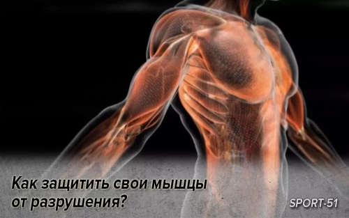 Как защитить свои мышцы от разрушения?