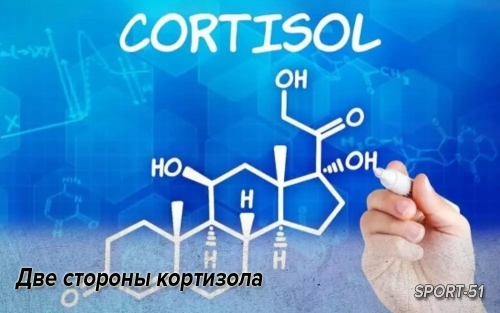 Две стороны кортизола
