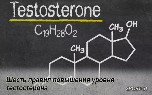 Шесть правил повышения уровня тестостерона