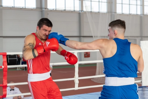 Чемпионат Мурманской области по боксу