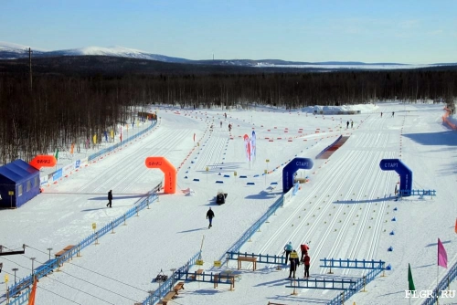 Масстарт на Чемпионате области по лыжным гонкам