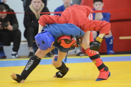 Соревнования, приуроченные ко Всероссийскому дню самбо, прошли в Мончегорске