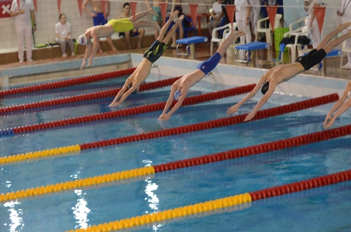 Чемпионат и Первенство по плаванию прошли в Мурманске