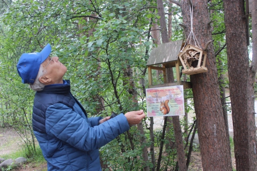 В Мурманске продолжают улучшать экотропу «Беличий хвост».