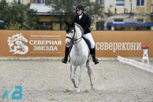 Чемпионат Мурманской области по конному спорту завершён