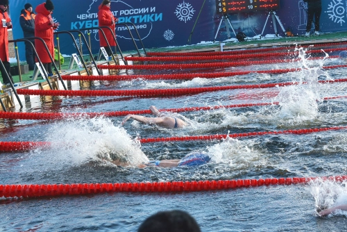 Чемпионат России по зимнему плаванию