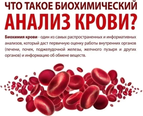 Биохимические исследования крови